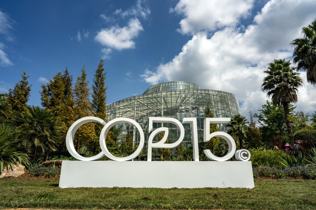 Blue skies over Kunming reflect the optimism voiced at the end of the COP15 biodiversity summit. Photo: Xinhua