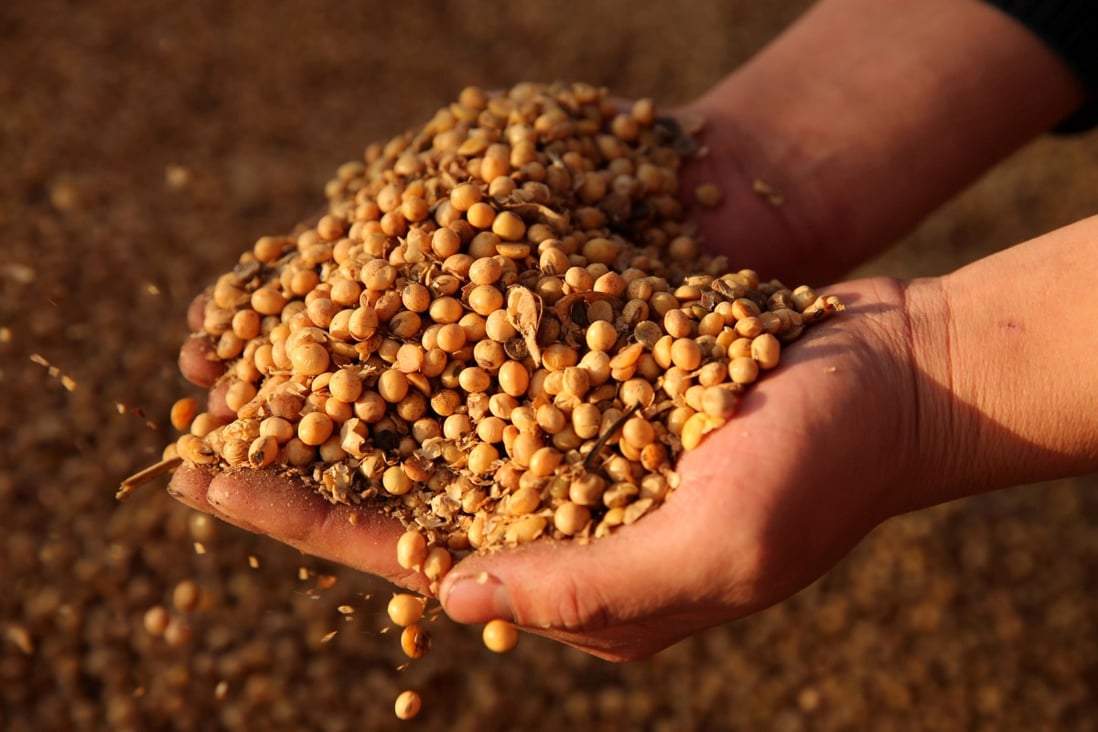 China is buying soybeans from African countries including Tanzania and Ethiopia. Photo: Reuters