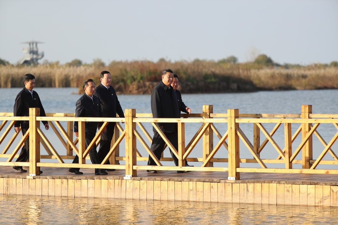 Chinese President Xi Jinping tours a conservation site in the Yellow River Delta on Thursday. Photo: Xinhua