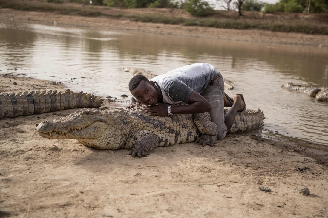 Coronavirus takes a bite from cult of sacred crocodiles in Africa