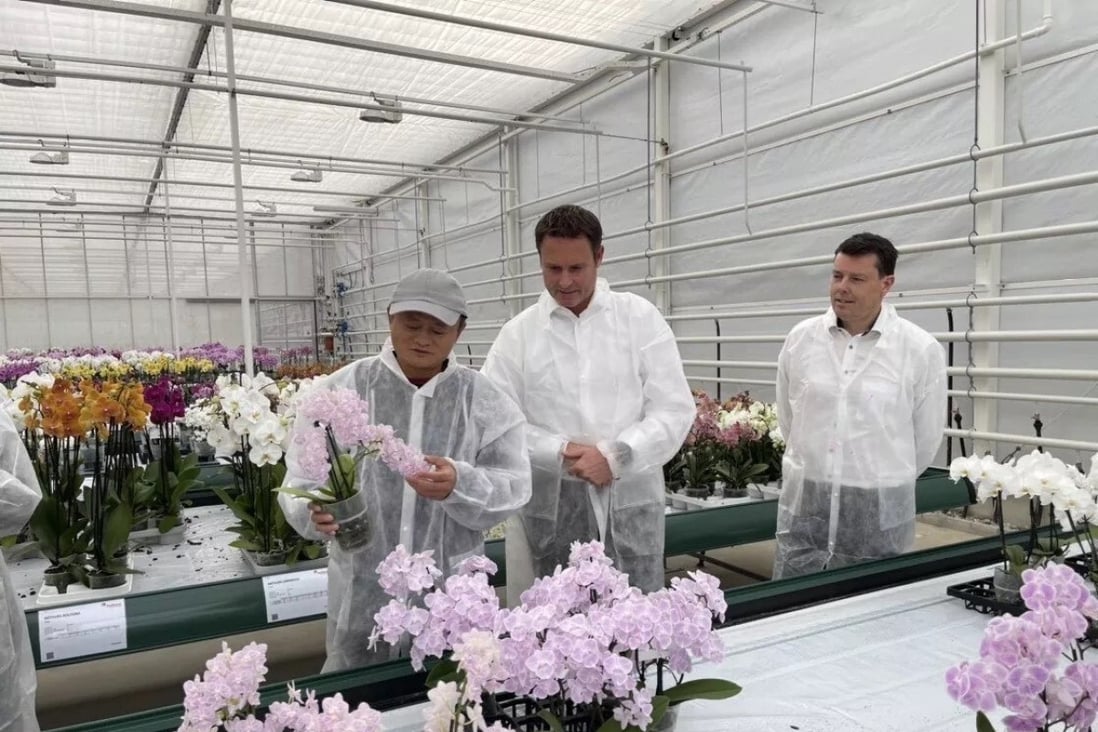 Jack Ma visiting a research institution in the Netherlands, where greenhouse technology was on display, on 25 October 2021. Photo: Handout.
