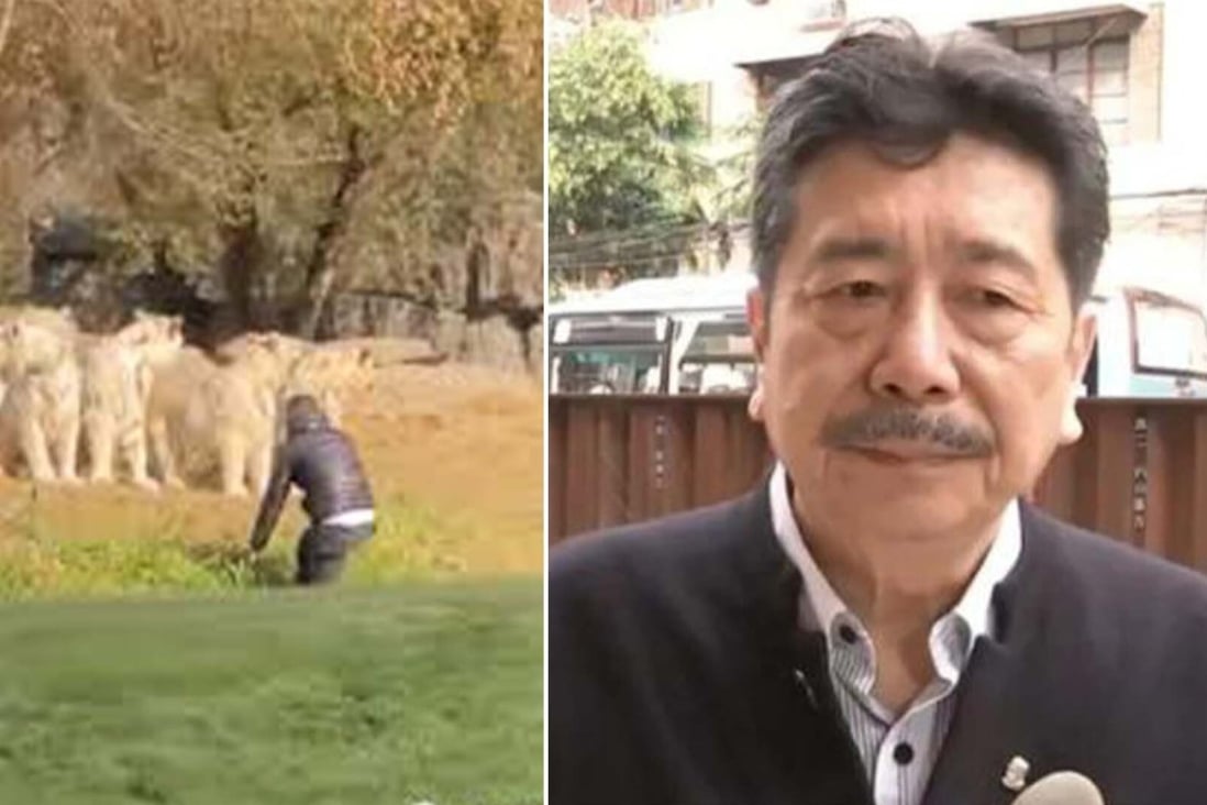 This week in quirky China stories: a man breaks into a lion enclosure and Lu Xun’s grandson speaks about what it is like to live with the legacy of an icon. Photo: Handout