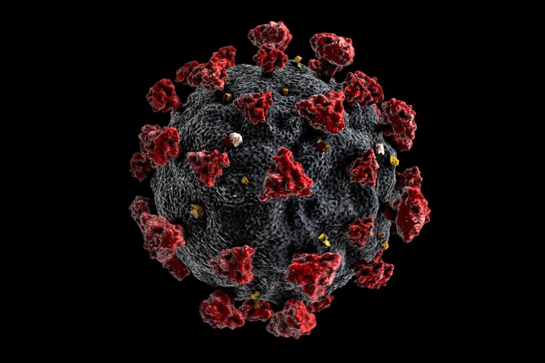 A 3D model of a Sars-Cov-2 coronavirus, which causes Covid-19. Image: Shutterstock