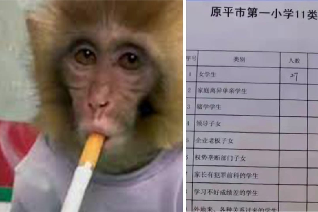 An anti-smoking campaign using a monkey has backfired, while a school in northern China is in hot water after a list ranking students based on their parent’s wealth and status was leaked. Photo: SCMP artwork.