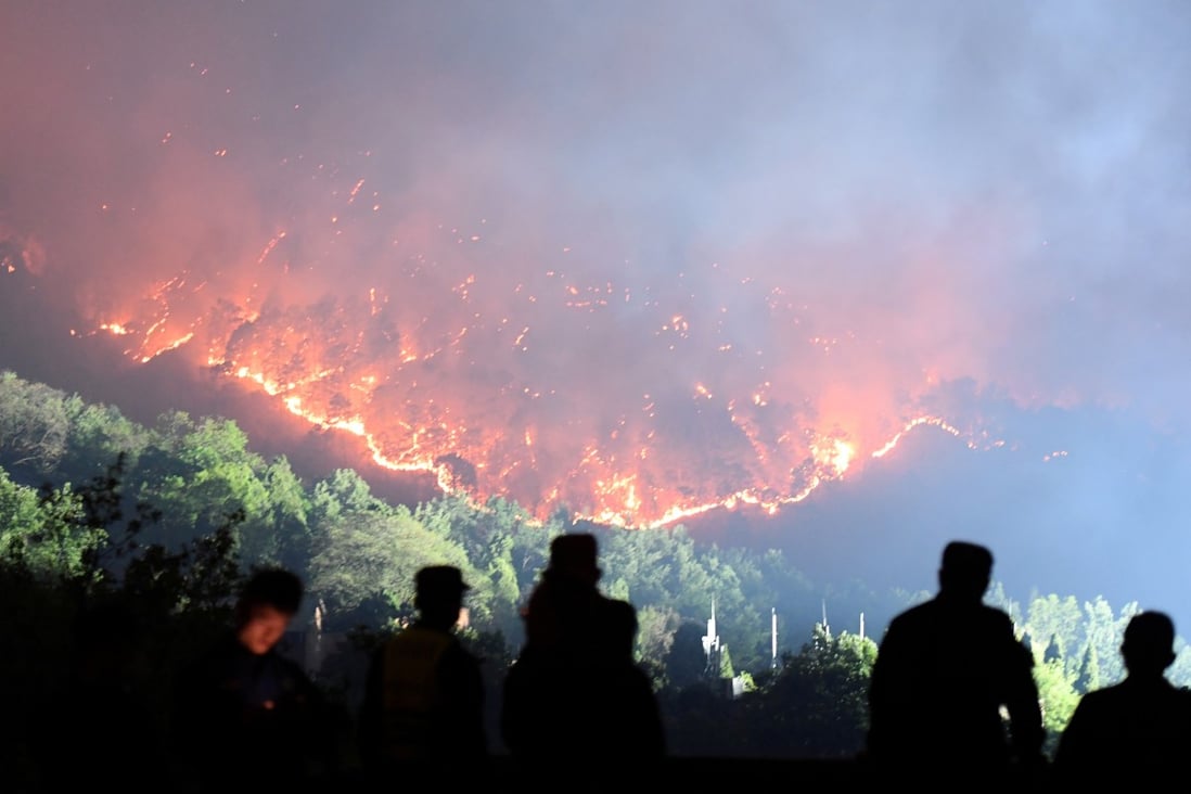 A deadly forest fire in Sichuan province in March last year. Photo: Handout via Reuters