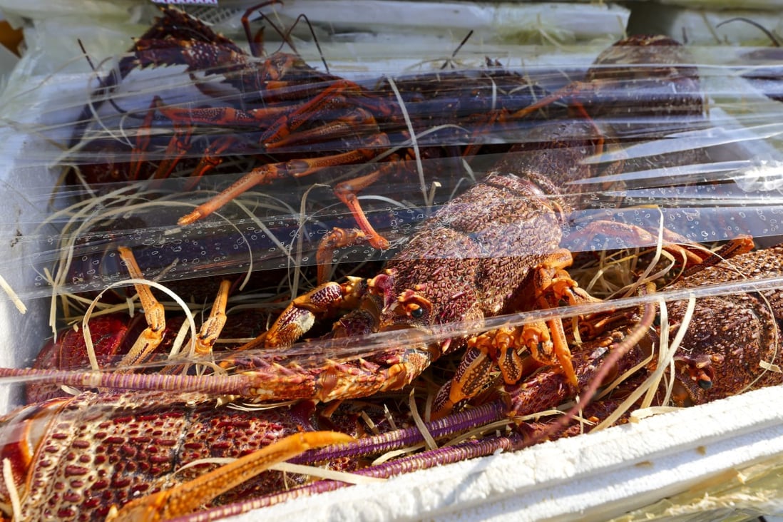 Hong Kong customs has seized 890kg of live lobsters and about 930kg of dried sea cucumber on a speedboat on Monday. Photo: Dickson Lee
