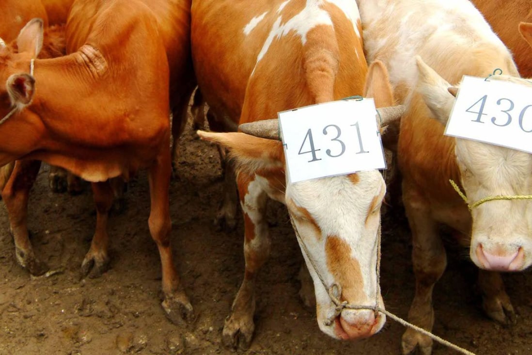 China to build world’s biggest animal cloning factory in Tianjin