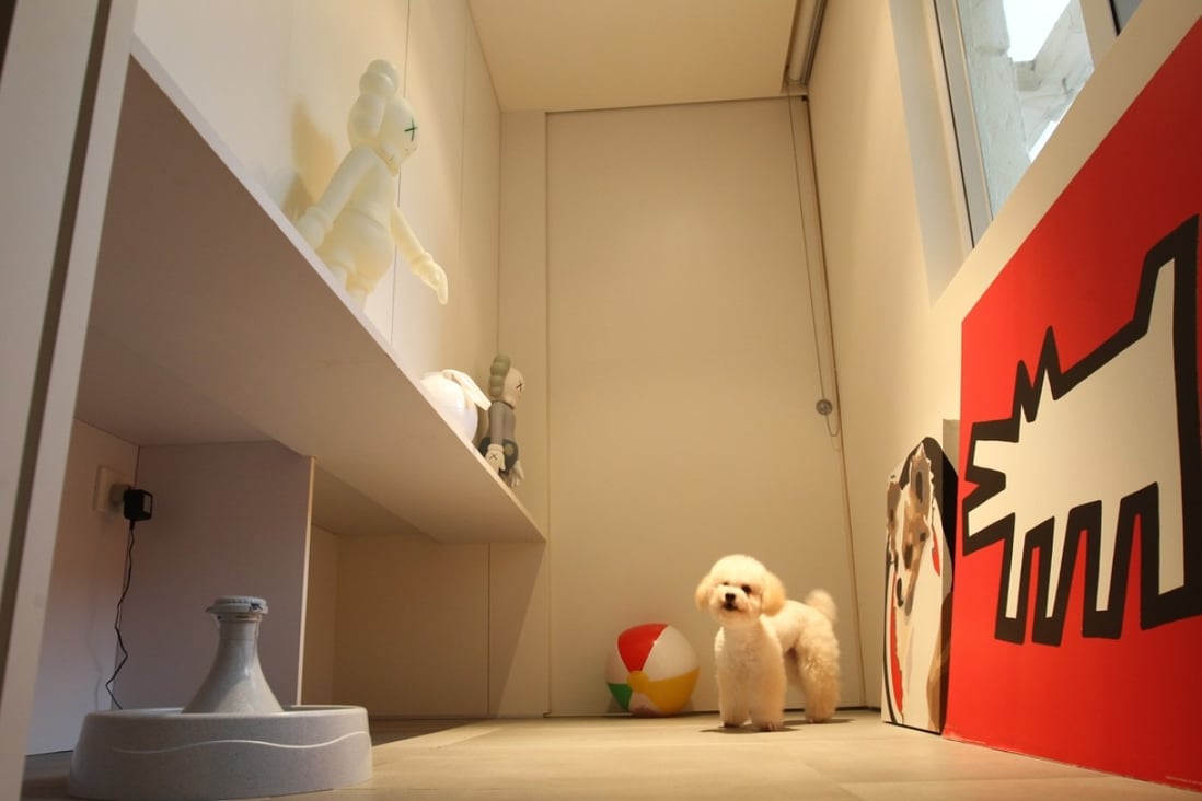 Hong Kong pets lap up the luxury in own rooms with private baths