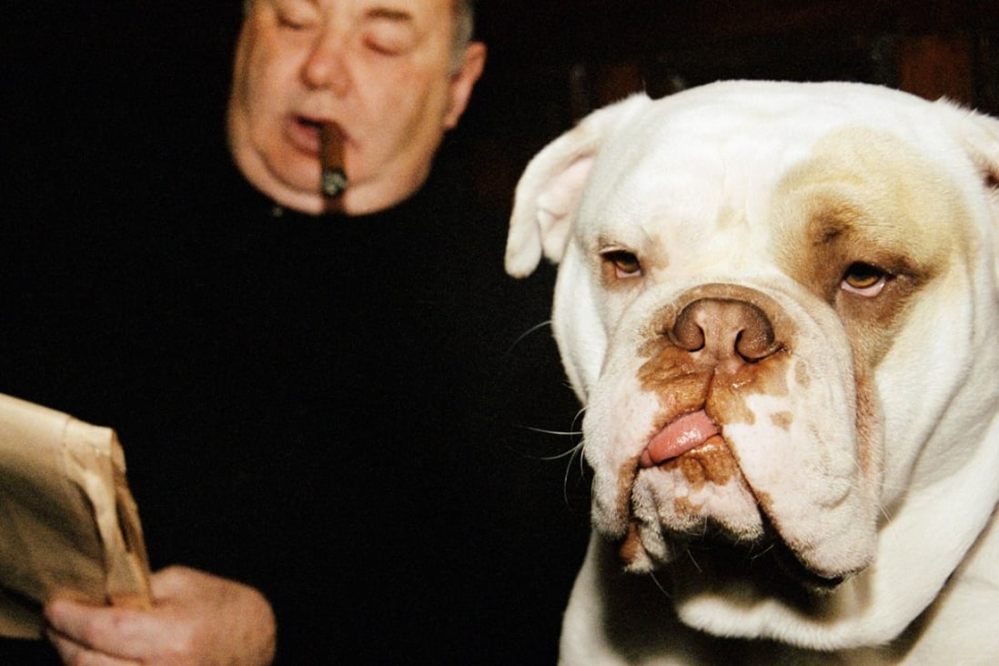 Secondhand smoke is bad for pets too, and makes dogs fat, study shows