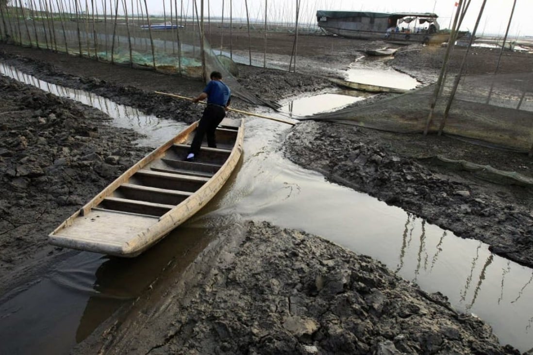 A fisherman tries to paddle his boat through a small stream amid the partially dried-up Honghu Lake in Honghu, Hubei province. Photo: Reuters