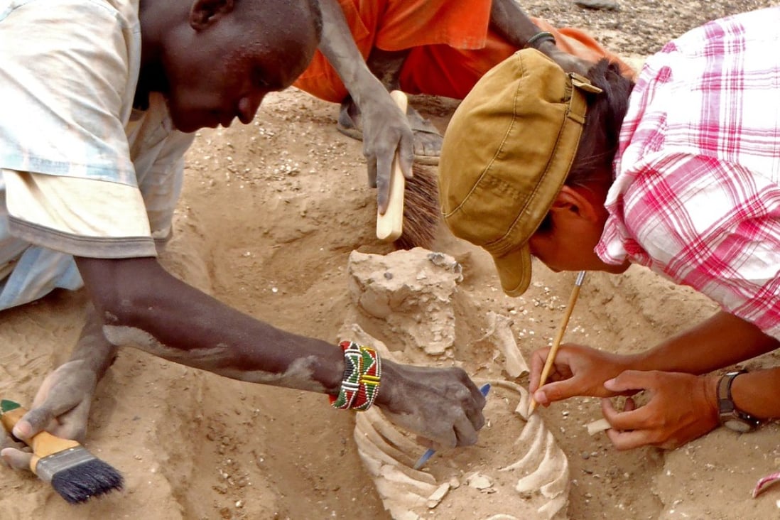 In this August 2012 photo provided by Marta Mirazon Lahr, researcher Frances Rivera, right, and Michael Emsugut, left, excavate a human skeleton at the site of Nataruk, West Turkana, Kenya. This skeleton was that of a woman, found lying on her back, with lesions on her neck vertebrae consistent with a projectile wound. Photo: AP