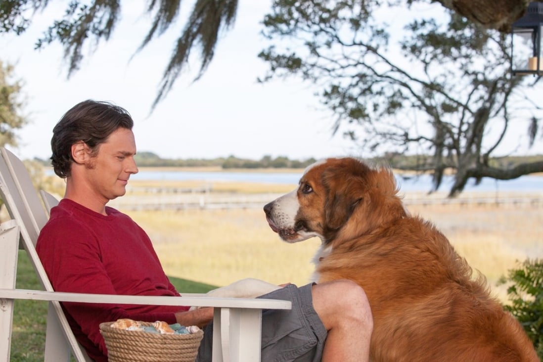 Benjamin Walker and dog in The Choice (Category: IIA), directed by Ross Katz and co-starring Teresa Palmer .
