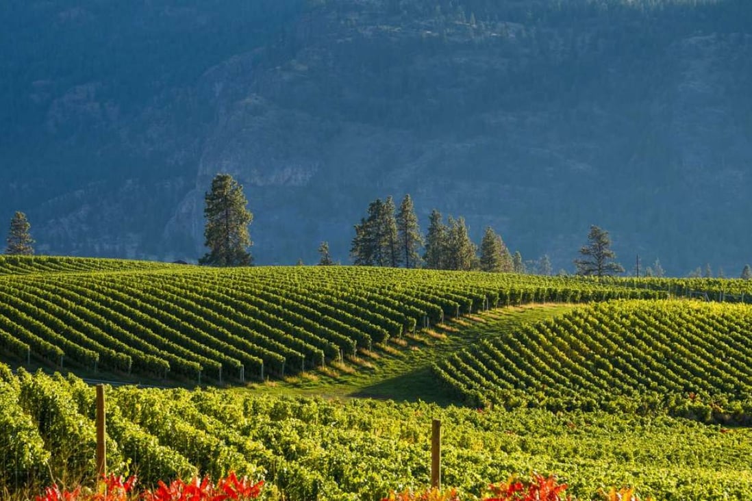 Why you really should try French red wines from Canada South China