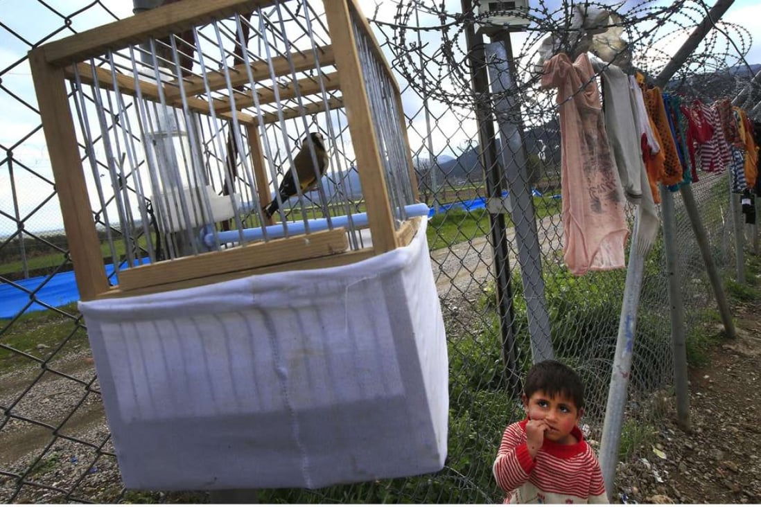 A child looks up at a bird in a cage belonging to a Syrian refugee living at a camp in Islahiye, Gaziantep province, in southeastern Turkey. Photo: AP