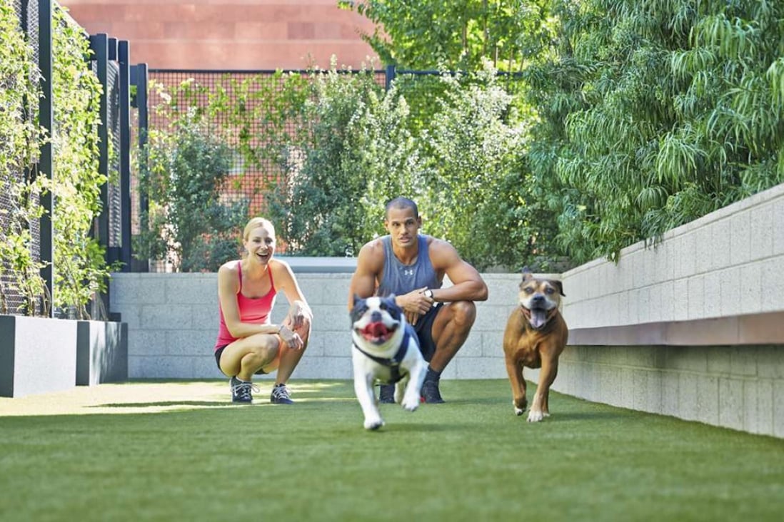 The Emerson, a building in downtown Los Angeles, has a dog run with a 24-hour pet spa. Photo: courtesy of The Emerson