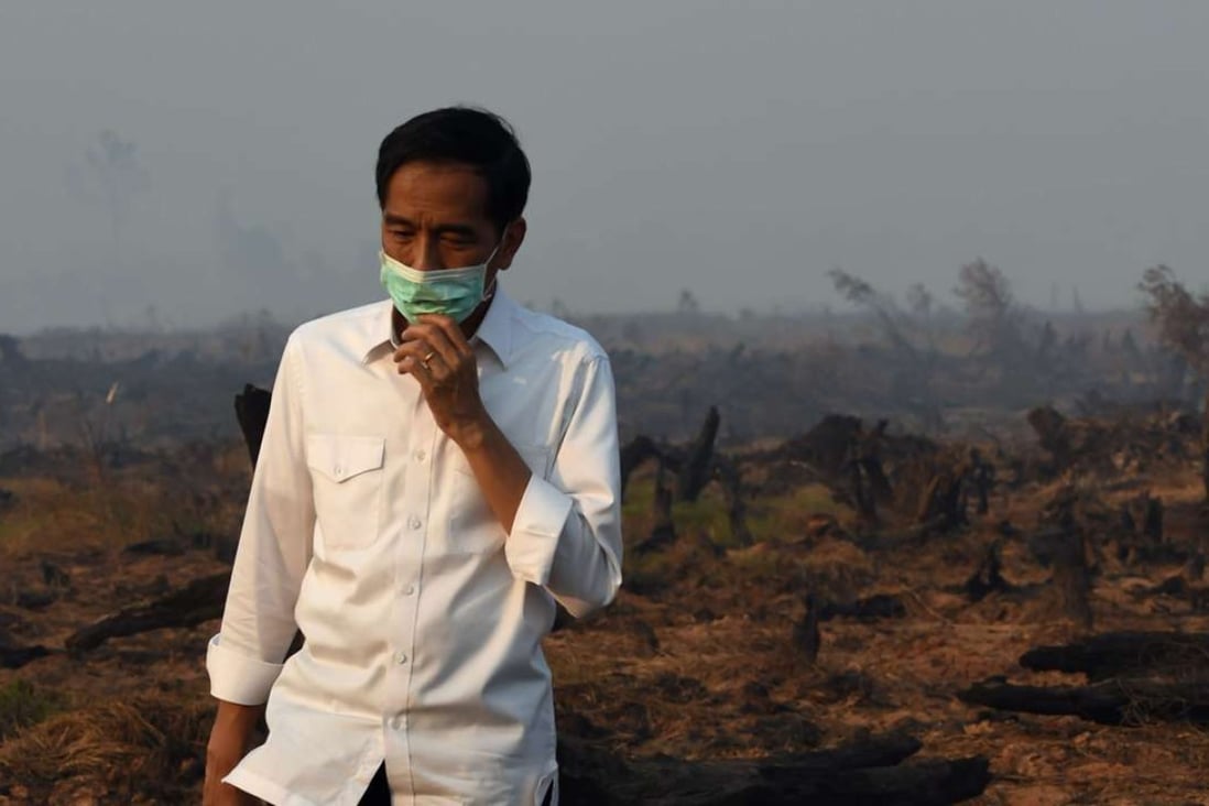 Indonesia's President Joko Widodo inspects a peatland clearing that was engulfed by fire in 2015. Photo: AFP