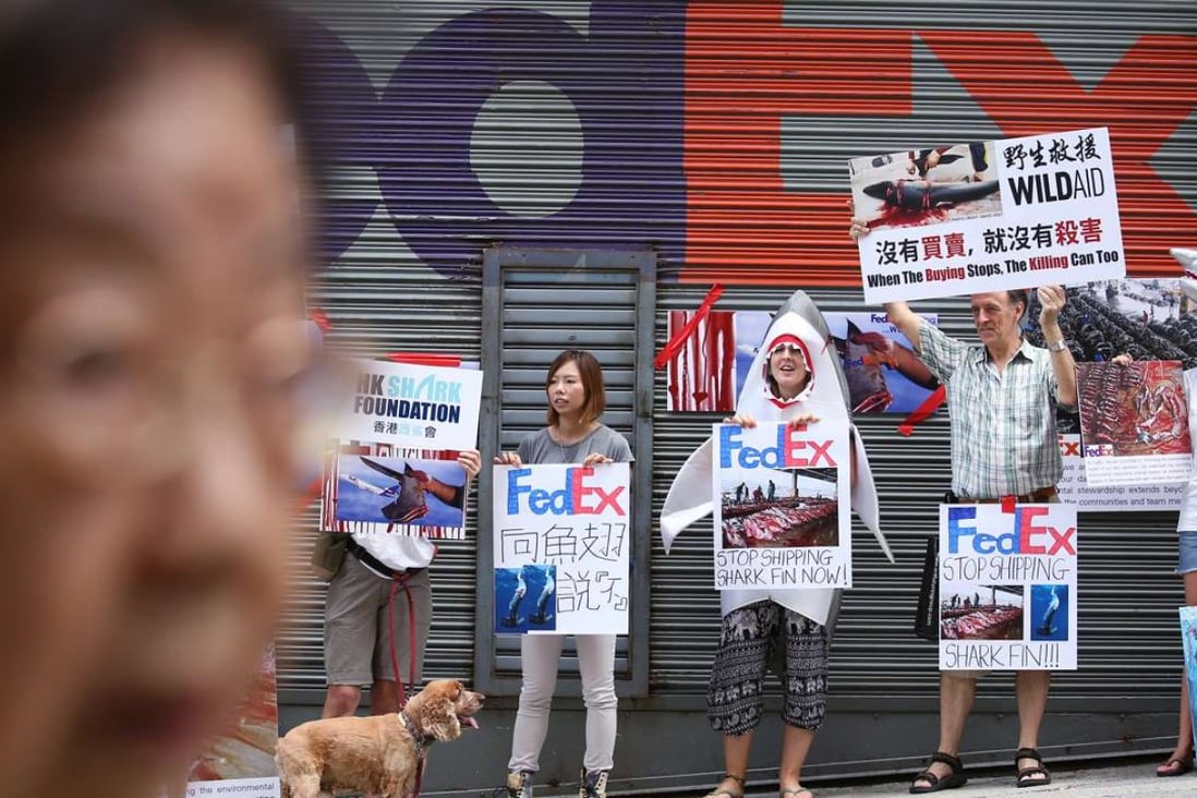 Activists from WildAid Hong Kong and the HK Shark Foundation protest against shark fin shipments at a FedEx depot in Kennedy Town. Photo: Nora Tam