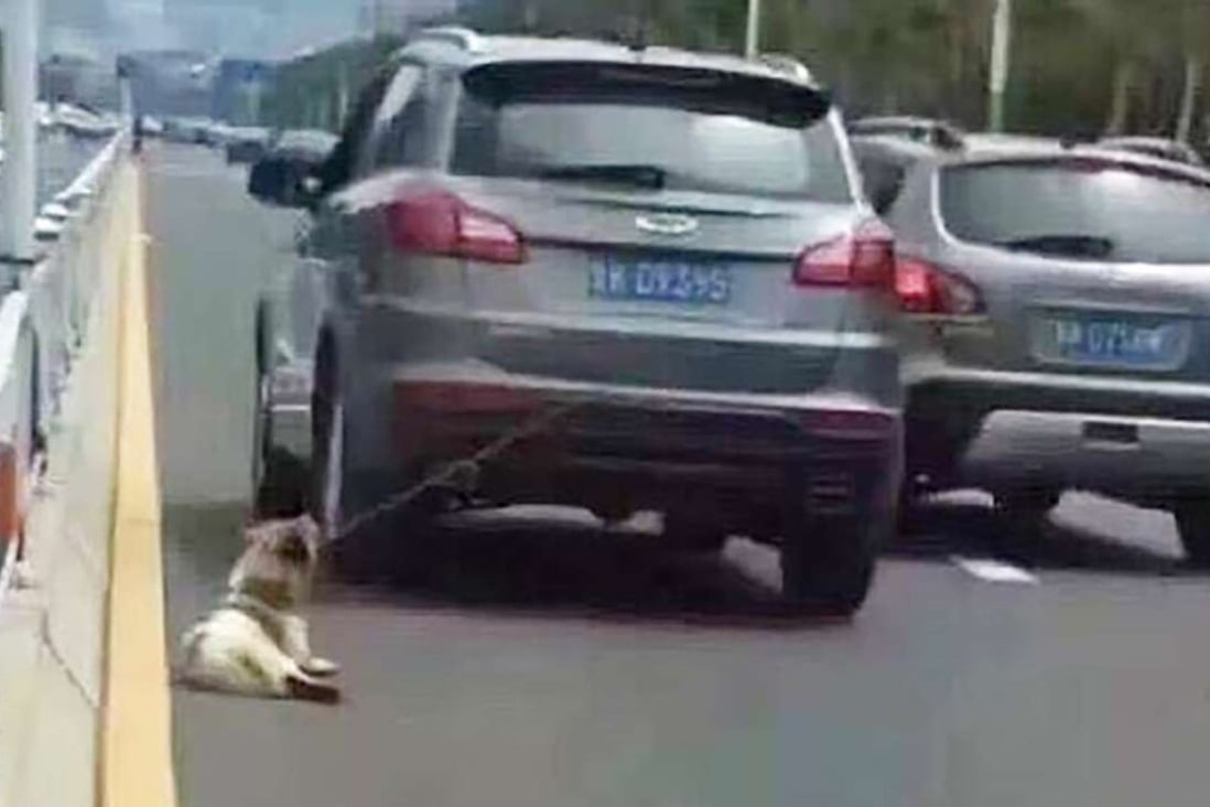 A dog is dragged along the road tied to a vehicle. SCMP Pictures
