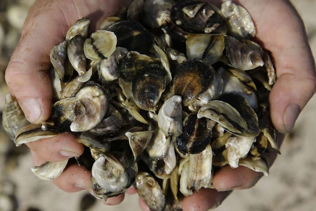 Study links global warming to rise in shellfish poisoning and