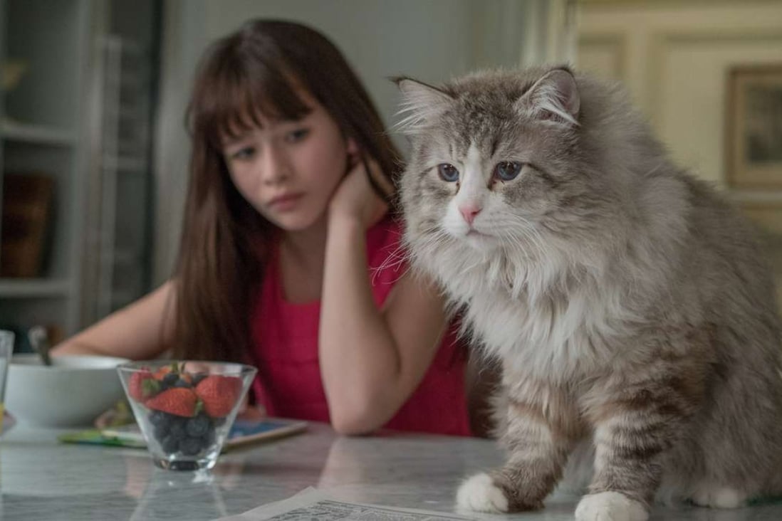 Malina Weissman (left) stars as Rebecca, whose father’s mind has been transferred to a cat in Nine Lives (category I), directed by Barry Sonnenfeld. Kevin Spacey and Jennifer Garner co-star.