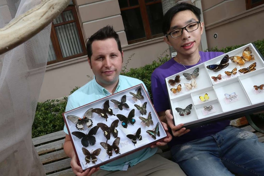 Timothy Bonebrake (left) and Toby Tsang Pak-nok display some of the butterflies researchers found in Hong Kong’s urban parks. Photo: K. Y. Cheng