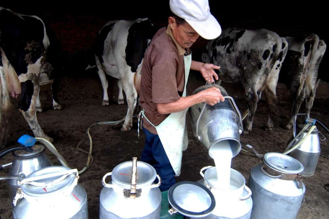 A dairy farm in rural Shandong province. Yili’s 4.6 billion yuan stake purchase in China Shengmu Organic Milk could help the country’s leading dairy producer win over increasingly affluent consumers seeking healthier food options. Photo: EPA