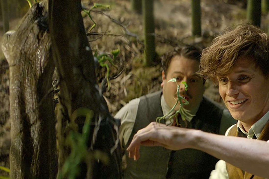 Eddie Redmayne as Newt Scamander meets a Bowtruckle in a scene from Fantastic Beasts and Where to Find Them.
