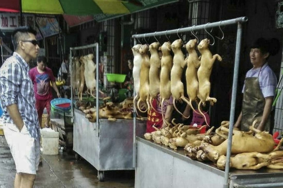 Peter Li from HSI investigates a Yulin dog meat market in 2015.