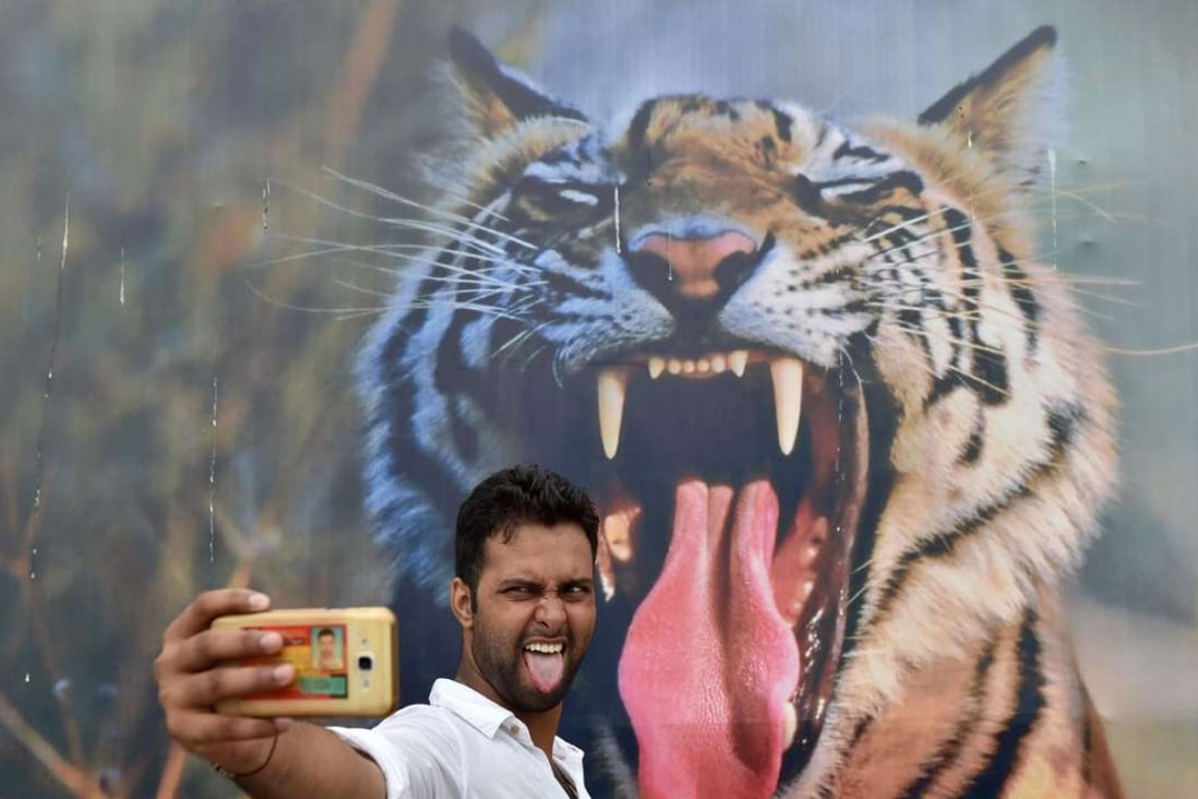A visitor poses for a photograph in front of a picture of a tiger at the India Gate lawns in New Delhi. Photo: AFP
