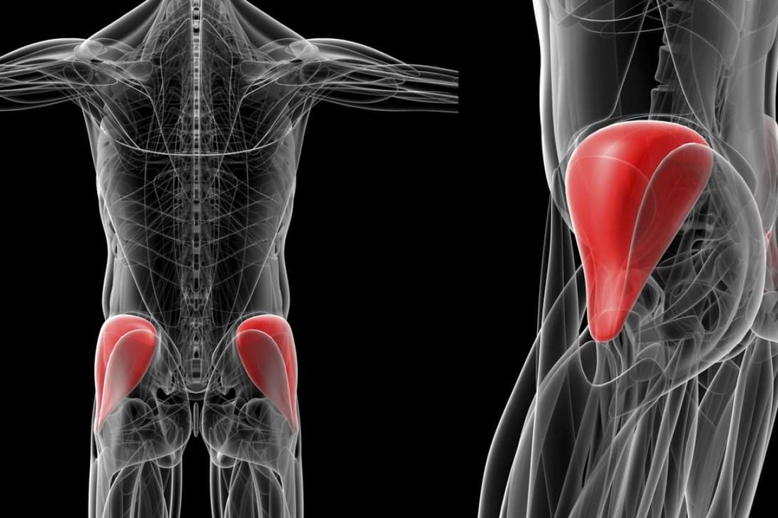 How To Have A Sexy Butt And Stay Young Work The Gluteus Medius South China Morning Post