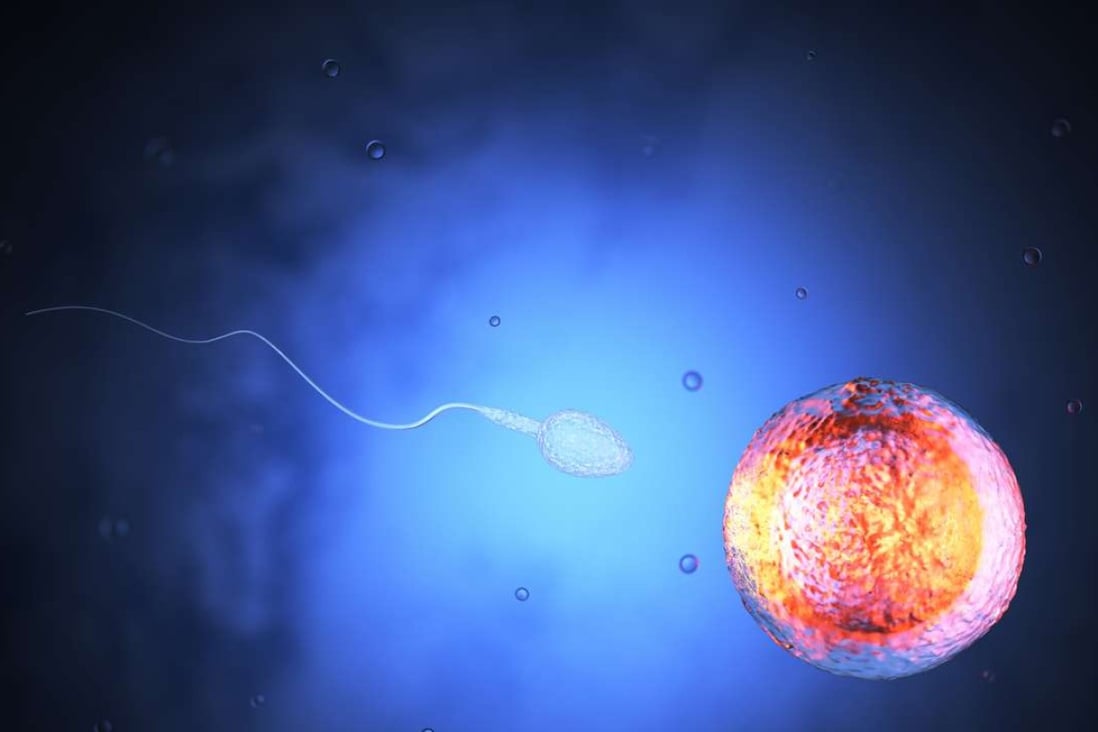 A 3D illustration of a sperm about to inseminate an egg cell. In future, couples who lack either or both may be able to have children through a technique called IVG