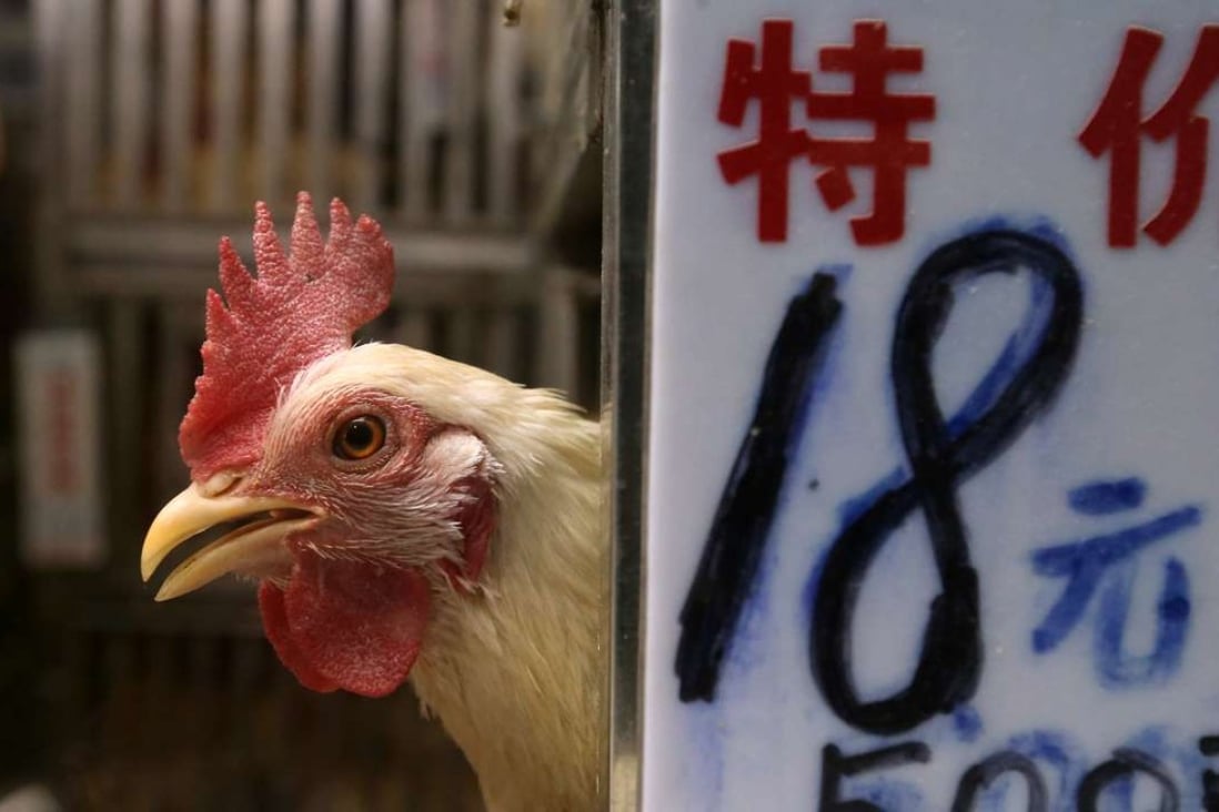 Guangzhou officials report that more than 30 per cent of live poultry markets are infected with bird flu. Photo: SCMP Pictures