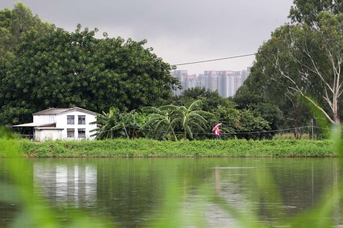 Hong Kong’s Town Planning Board rejects wetland development plan for a