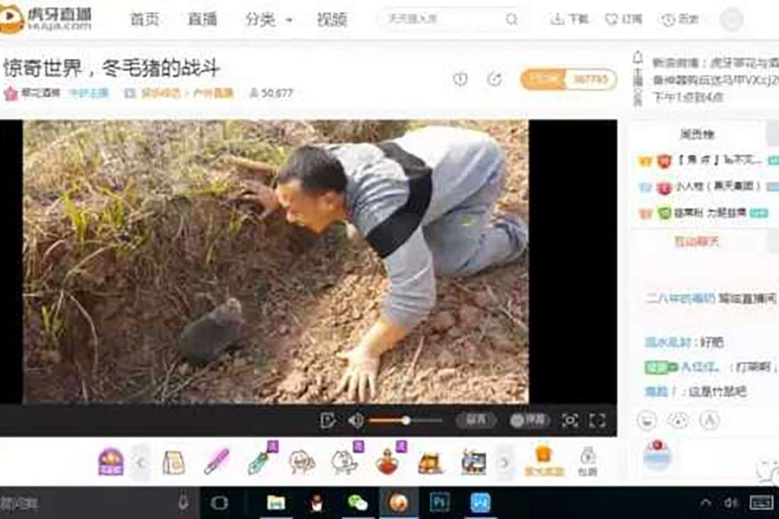 A screen shot of one of the animal abuse online channels showing a man tormenting a bamboo rat. Photo: Handout