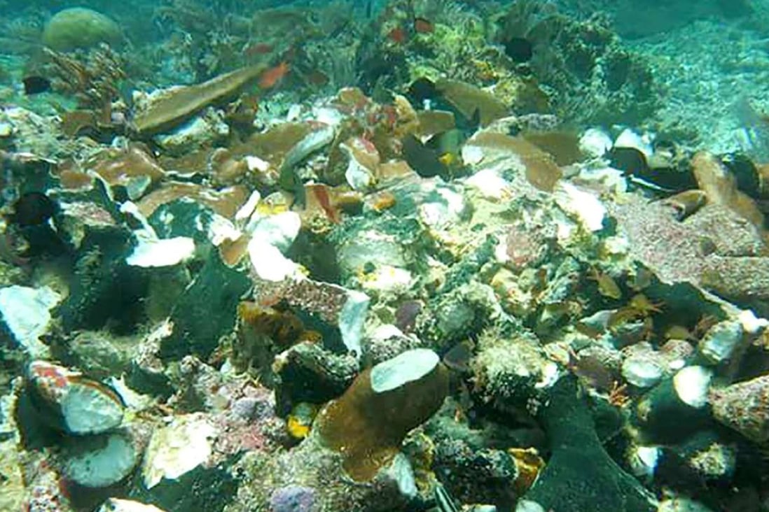 Was A 12 Year Old At The Wheel British Cruise Ship Smashes Into Coral Reef In Remote Corner Of Indonesia South China Morning Post