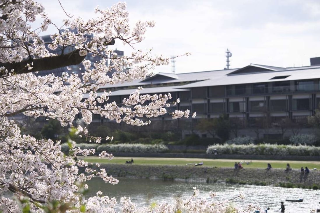 A view through the cherry blossom trees across Kyoto’s Kamogawa River, looking towards The Ritz-Carlton.