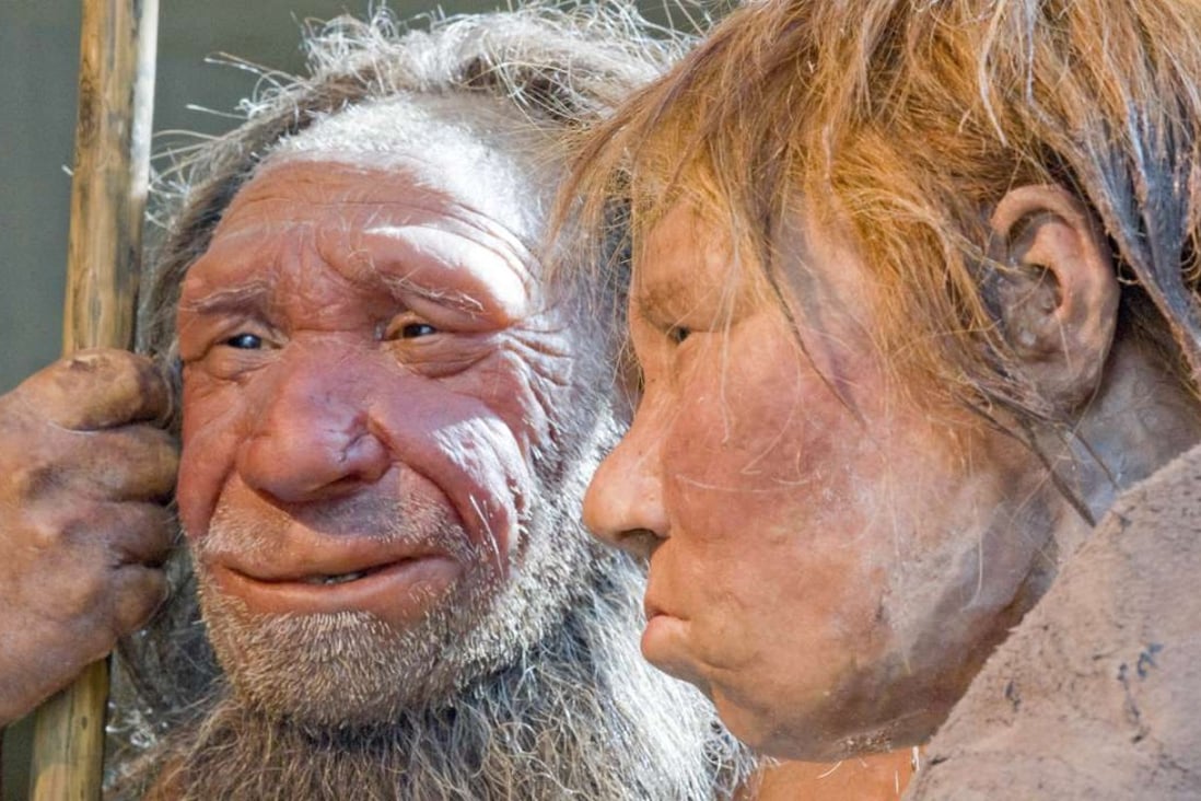 Reconstructions of a Neanderthal man and woman at the Neanderthal museum in Mettmann, Germany. Trying to explain cases of ancient cannibalism among our evolutionary forerunners is a vexing scientific challenge. A new study released Thursday that whatever the reasons, they were probably not hunting each other just for food. Photo: AP