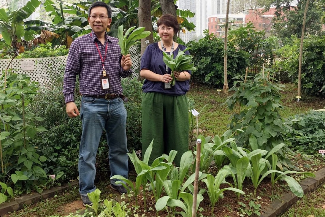 Lily Chan (right) with fellow peer support worker Jecko Cheng Chi-ho in the Castle Peak Hospital garden, where patients can plant crops as a form of therapy. Photo: Emily Tsang