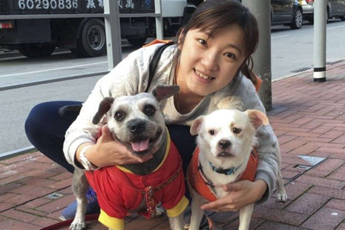Why there is a rift between Hong Kong vets and pet owners South China