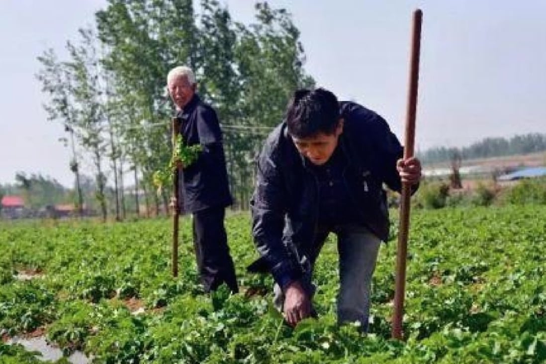 Zhang Guihai pictured working on the farm. Photo: Handout