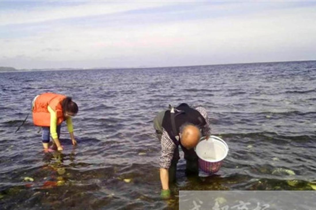 Chengdu-born Danish resident Bian Miaomiao and her Danish husband do their bit to eradicate invasive oysters. Photo: Handout