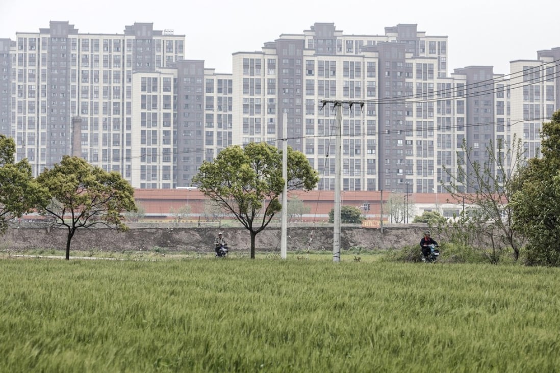 High land prices have pushed up the value of plots such as this rice field on the outskirts of Shanghai, Photo: Bloomberg