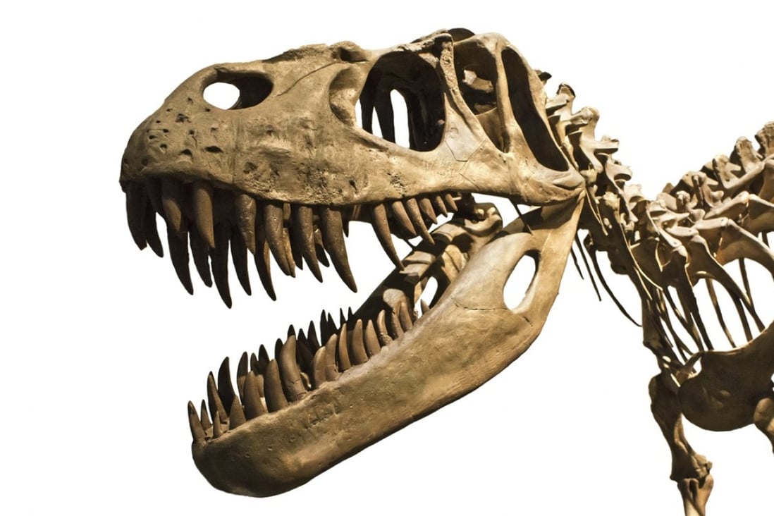Dragon Teeth by Michael Crichton (published by Harper) is based on the real-life race for fossils between Othniel Charles Marsh and Edward Drinker Cope. Photo: Shutterstock