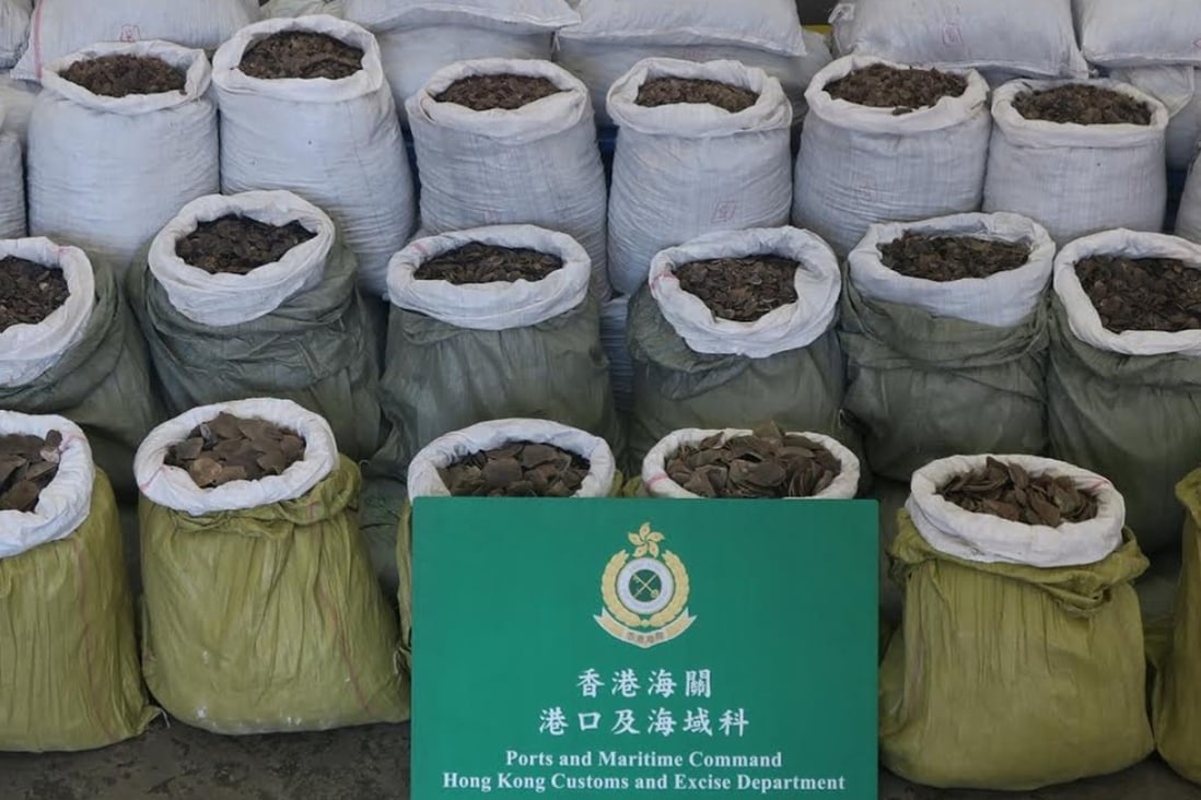 The seized scales had an estimated market value of about HK$4.6 million. Photo: Handout