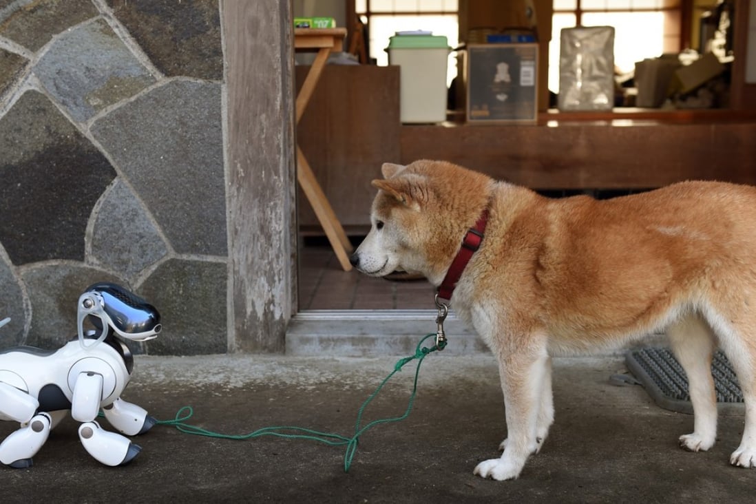 Aibo was marketed as a fun companion that required far less care than a real dog. File photo: AFP
