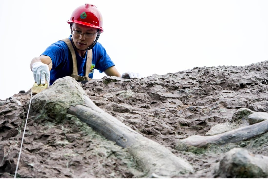 A researcher cleans a dinosaur bone at the ‘fossil wall’ in Puan Township. Photo: Xinhua