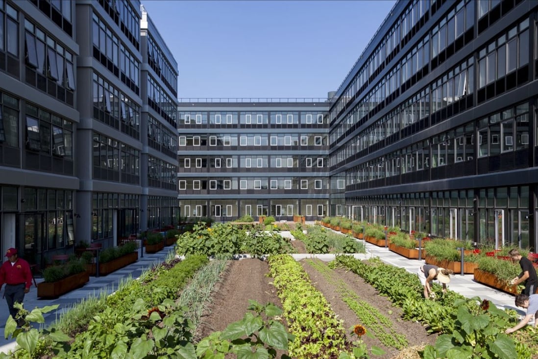 Urby, a building on Staten Island in New York, encourages its residents to pick fruit and vegetables at its 5,000 square foot on-site urban farm. The building’s farmer-in-residence also gives gardening tips. Photo: SCMP handout