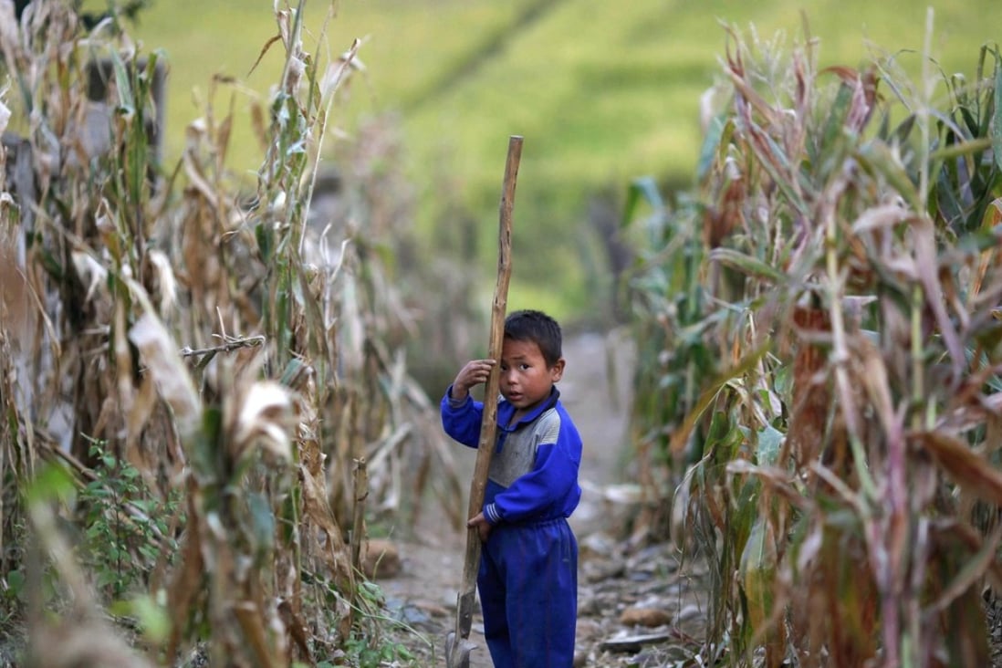 A North Korean boy holds a spade in a corn field damaged in 2011. A drought has struck the country, the worst in 16 years and the disaster is threatening food supplies in the isolated country. Photo: Reuters