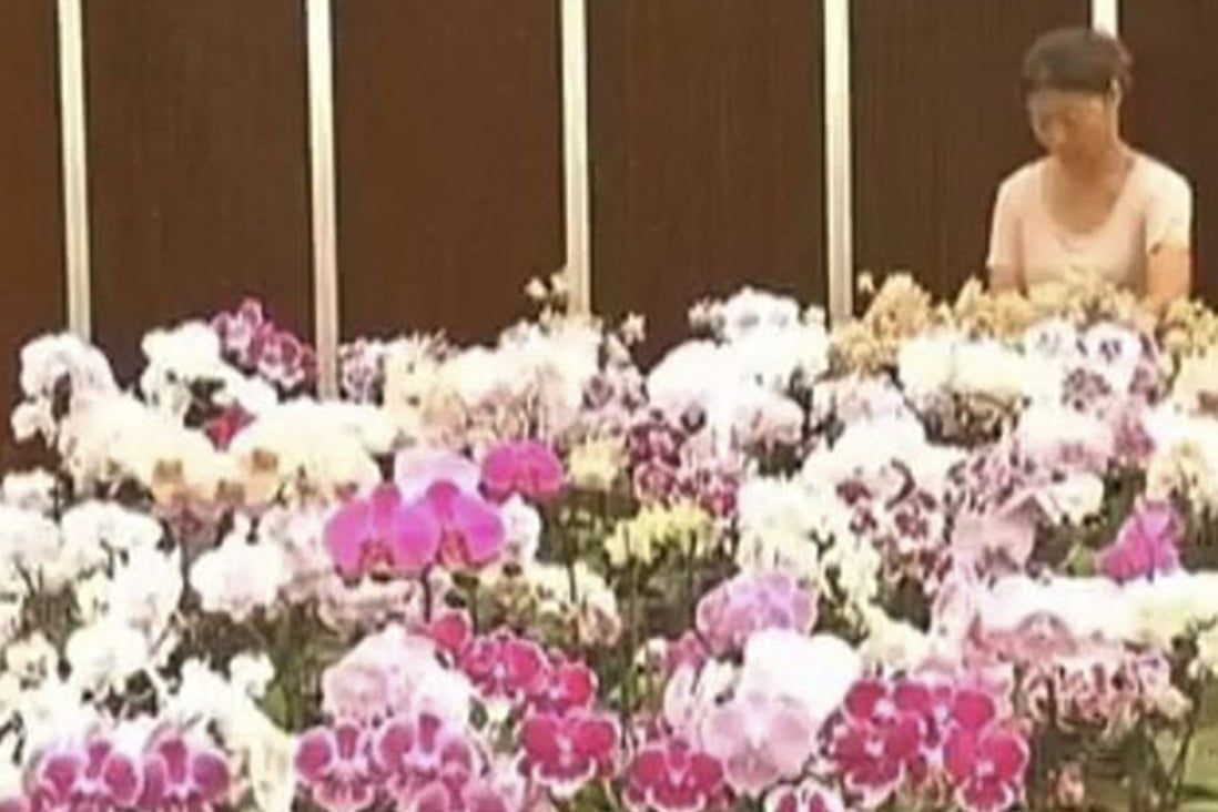 A woman stands beside a display of colourful orchids. Photo: Handout