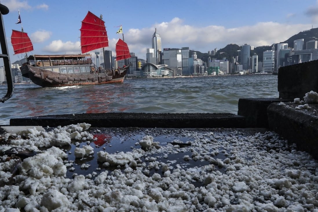 The congealed substance was also spotted in Victoria Harbour. Photo: Nora Tam